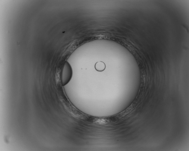 X0000100370611200806060803