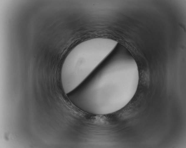 X0000100370612200806060803