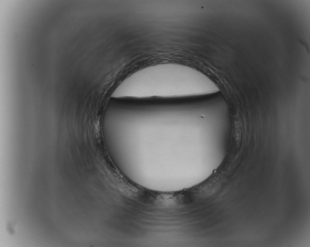 X0000100370613200806060803