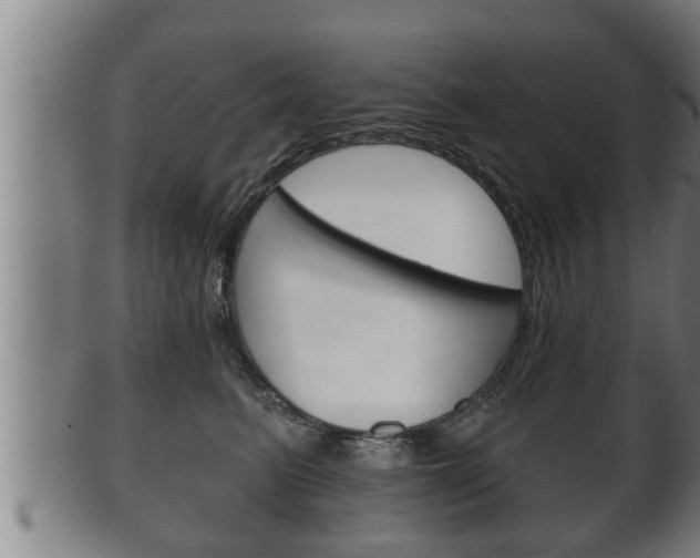 X0000100370615200806060803