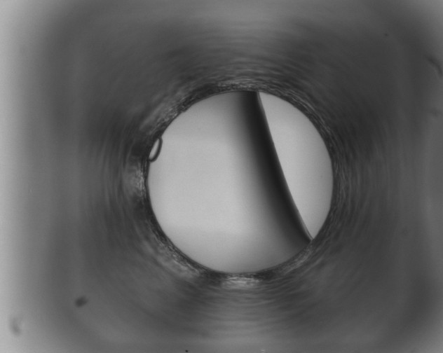 X0000100370617200806060803