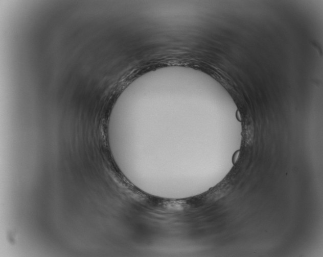 X0000100370618200806060803