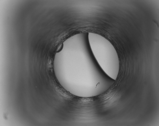 X0000100370619200806060803