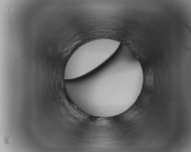X0000100370620200806060803