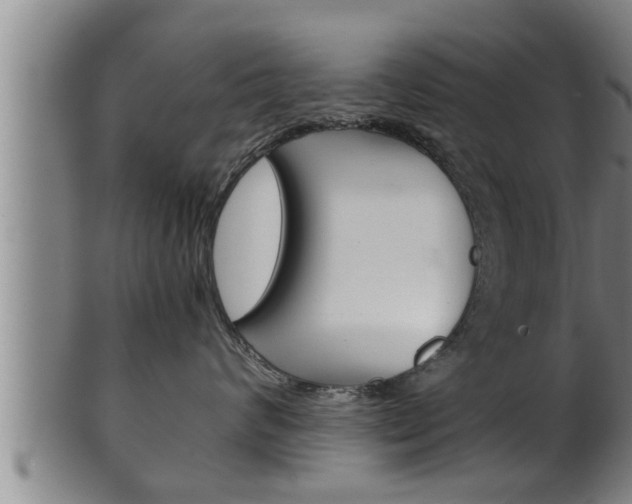 X0000100370624200806060803