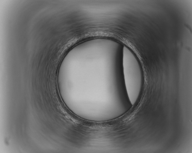 X0000100370625200806060803