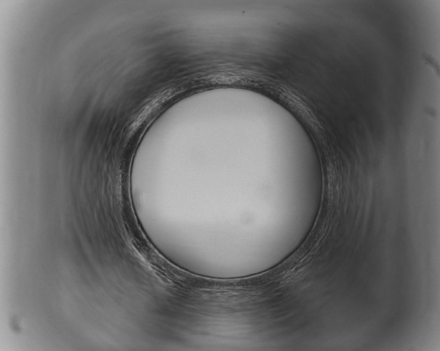X0000100370626200806060803