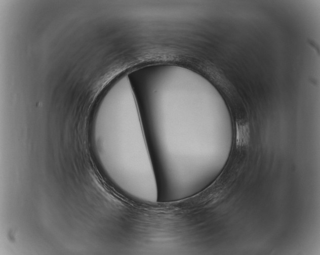 X0000100370627200806060803