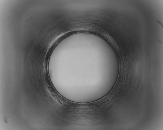 X0000100370628200806060803