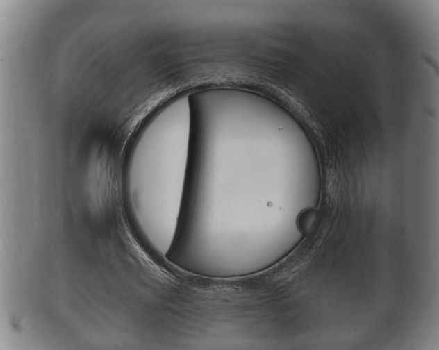 X0000100370629200806060803