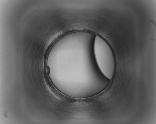 X0000100370630200806060803