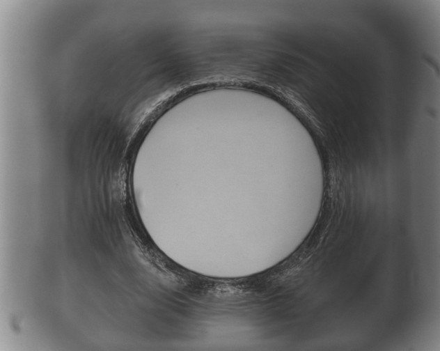 X0000100370632200806060803