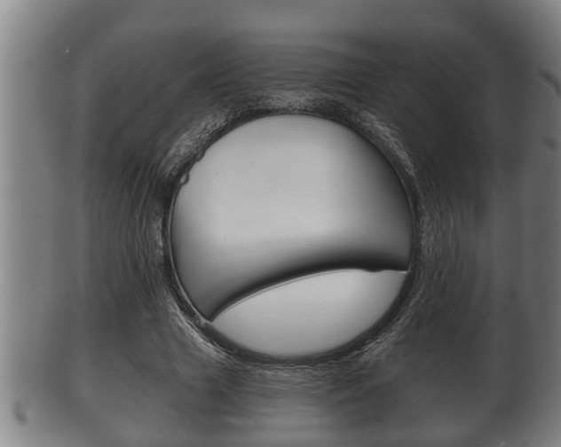 X0000100370633200806060803