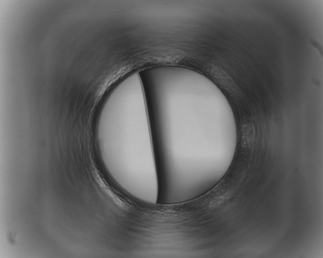 X0000100370634200806060803
