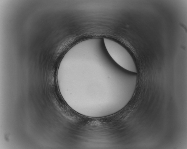 X0000100370635200806060803