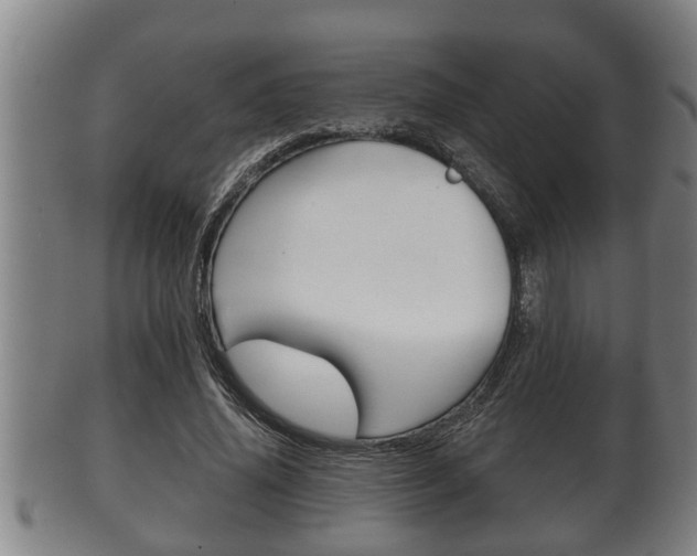 X0000100370636200806060803
