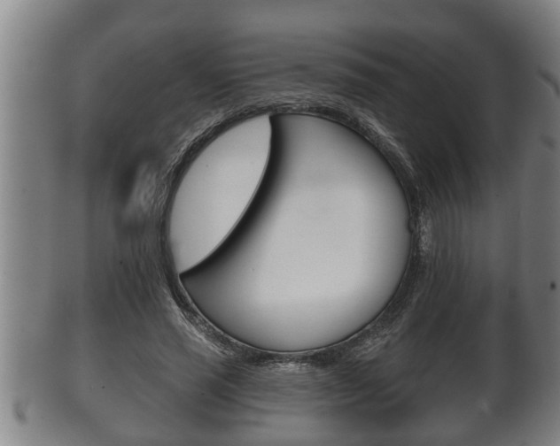 X0000100370637200806060803