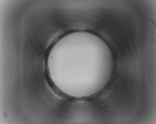 X0000100370638200806060803
