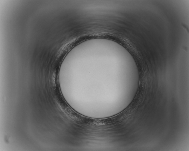 X0000100370640200806060803