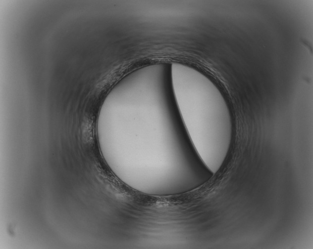 X0000100370641200806060803