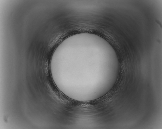 X0000100370642200806060803
