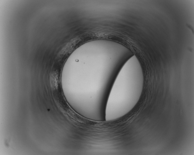 X0000100370644200806060803