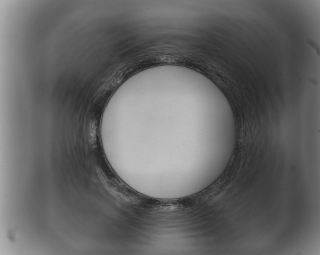 X0000100370646200806060803