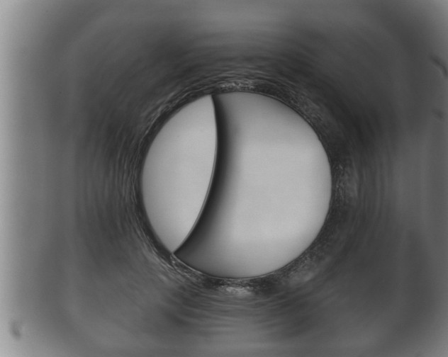 X0000100370649200806060803