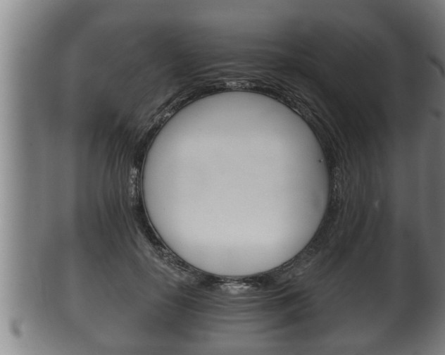 X0000100370650200806060803
