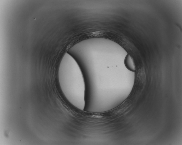 X0000100370651200806060803