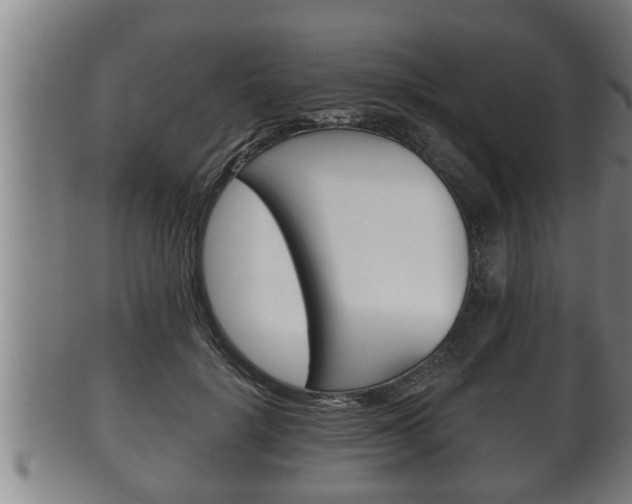 X0000100370652200806060803