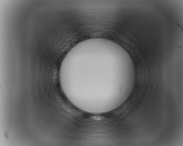 X0000100370654200806060803