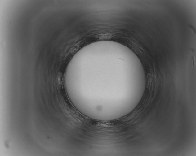 X0000100370655200806060803
