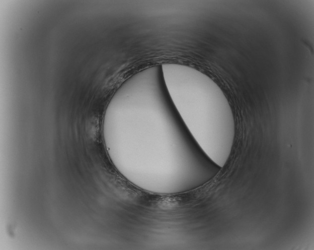 X0000100370656200806060803