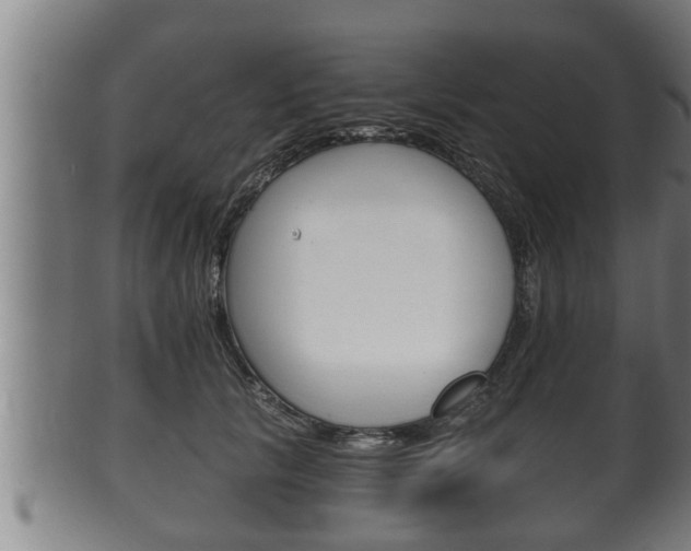X0000100370657200806060803