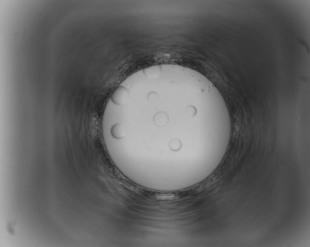 X0000100370659200806060803