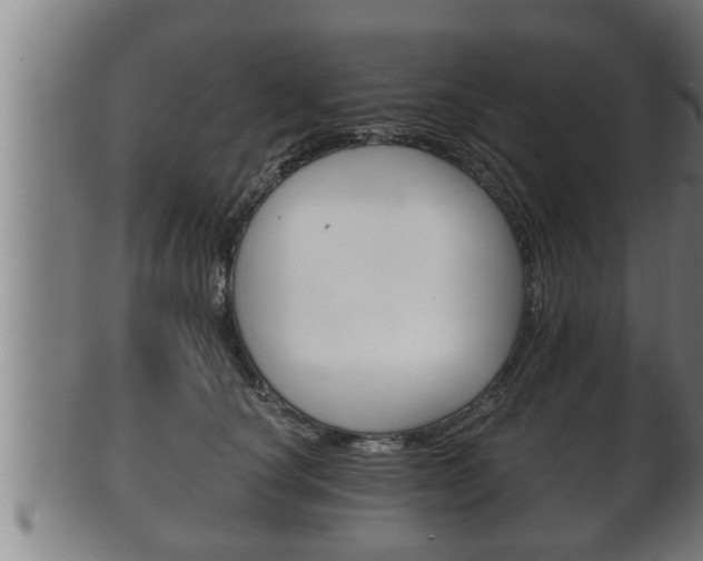 X0000100370660200806060803