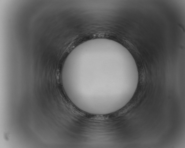 X0000100370661200806060803