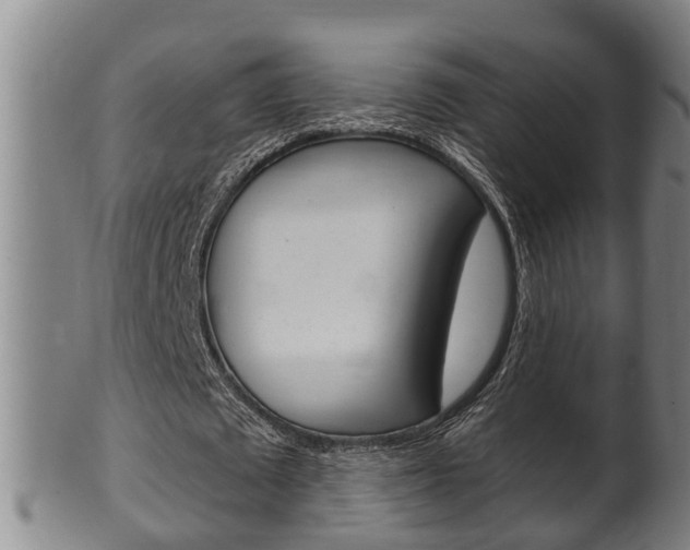 X0000100370673200806060803