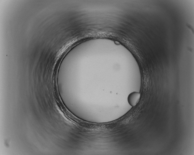 X0000100370674200806060803
