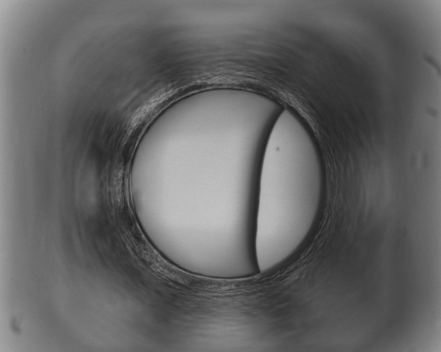 X0000100370675200806060803