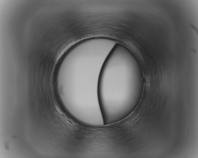 X0000100370676200806060803