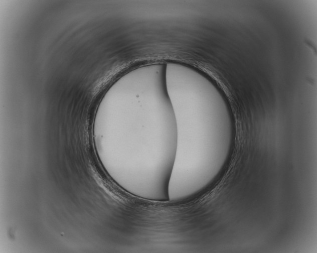 X0000100370677200806060802