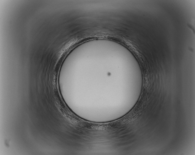 X0000100370679200806060802