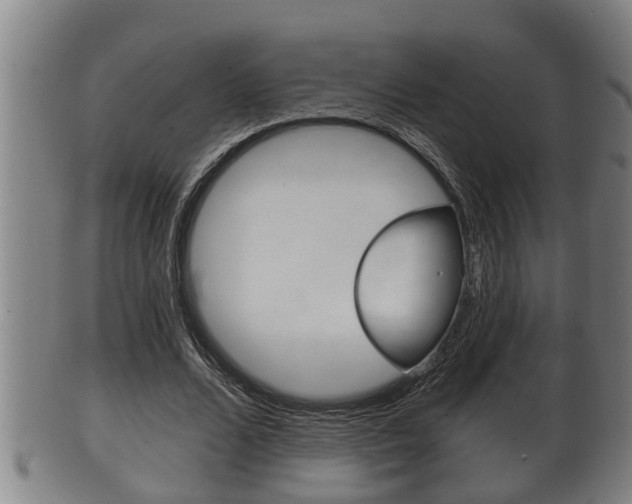 X0000100370680200806060802