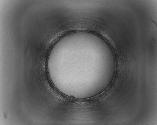 X0000100370681200806060802