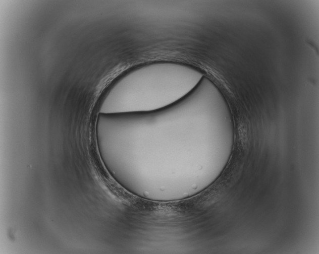X0000100370682200806060802