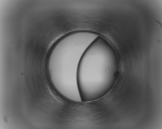 X0000100370684200806060802