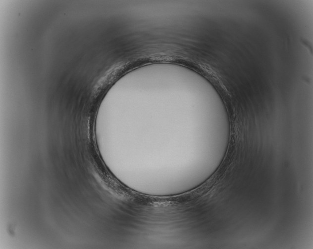 X0000100370686200806060802