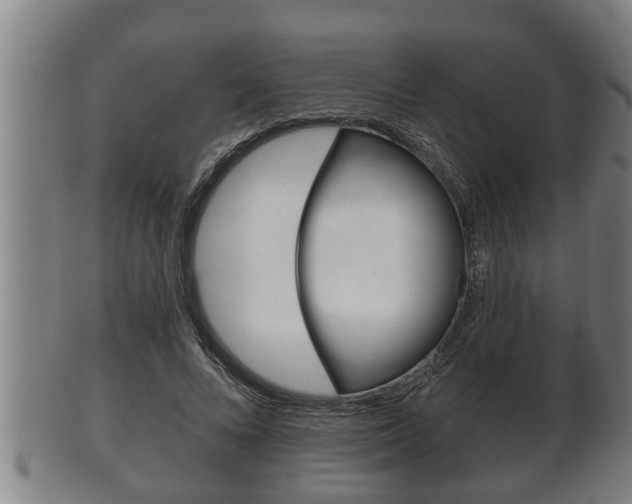 X0000100370688200806060802